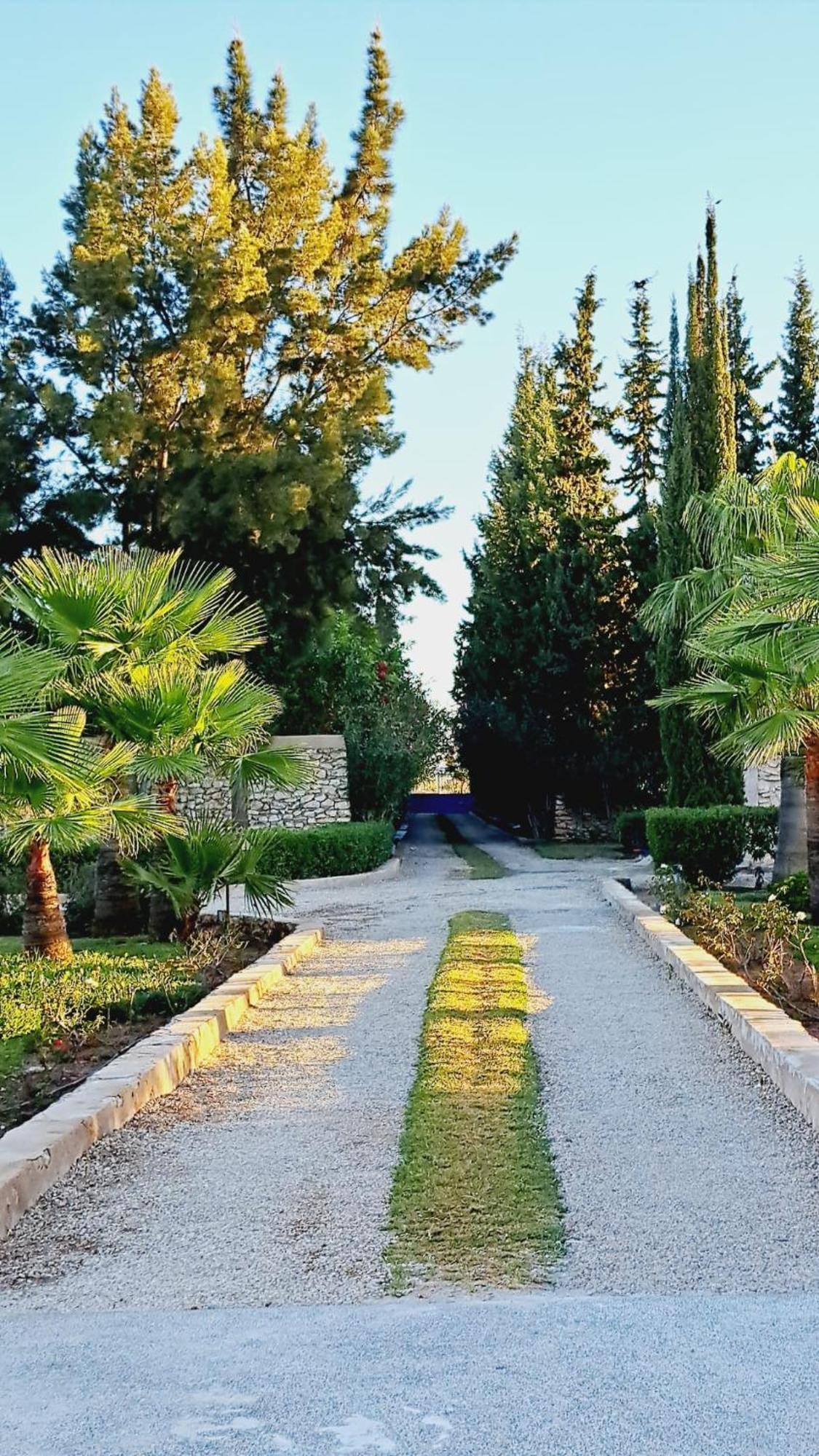Berberine Villa Essaouira