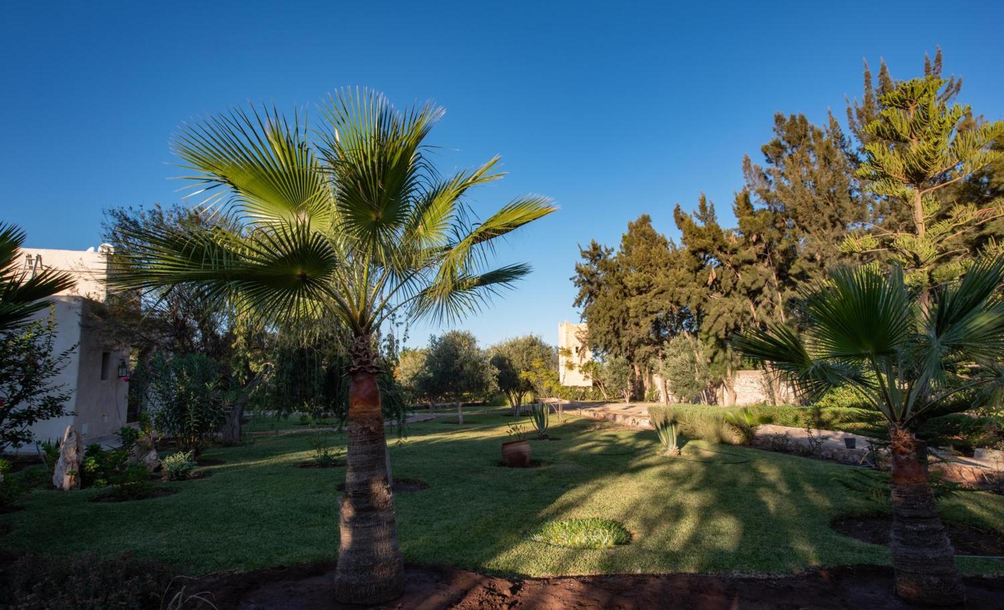 Berberine Essaouira